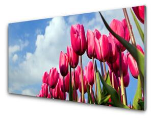 Tablou pe sticla Tulip Floral Roz Verde
