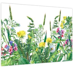 Tablou - Flori de pajiște pictate (70x50 cm)