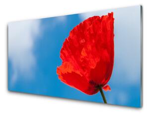 Panou sticla bucatarie Tulip Floral Roșu Albastru