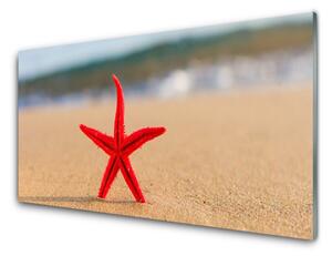 Panou sticla bucatarie Plaja Starfish Art Red
