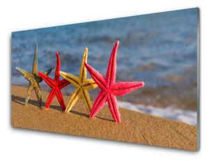 Tablou pe sticla Plaja Starfish Art Multi