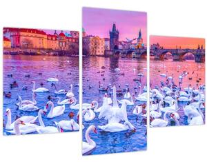 Tablou - Praga (90x60 cm)