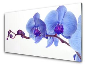 Panou sticla bucatarie Flori Floral Albastru Violet