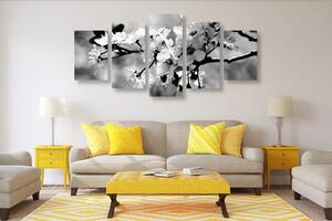 Tablou 5-piese floare de cireș în design alb-negru