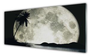 Tablou pe sticla Noapte Luna Palm Peisaj Negru Gri Alb