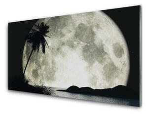 Panou sticla bucatarie Noapte Luna Palm Peisaj Negru Gri Alb
