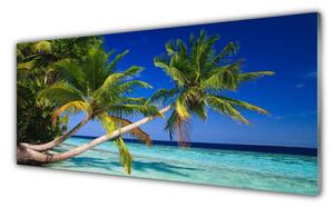 Panou sticla bucatarie Palm Tree Sea Peisaj Verde Albastru Maro