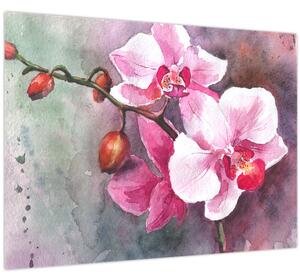 Tablou - Orhidee, acvariu (70x50 cm)