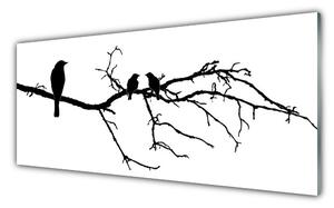 Tablouri acrilice Păsări Branch Art Negru
