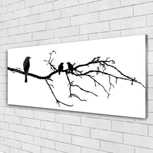 Tablou pe sticla Păsări Branch Art Negru
