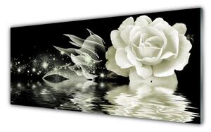 Tablouri acrilice Rose Floral Alb Negru