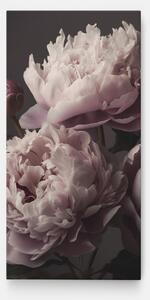 Tablou Canvas, 100x200cm, Dormitor si Living, Flori, Bujori, Grey Pastel Pink Peony