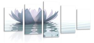 Tablou 5-piese floare de lotus