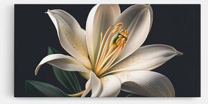 Tablou Canvas, 40x80cm, Dormitor si Living, Flori, Crini, Big Lily View
