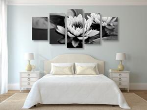 Tablou 5-piese floare de lotus în lac în design alb-negru