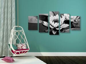 Tablou 5-piese floare de lotus în lac în design alb-negru