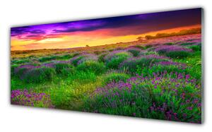 Panou sticla bucatarie Meadow Natura Roz Violet Galben Verde