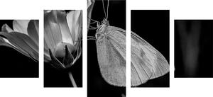 Tablou 5-piese fluture pe floare în design alb-negru
