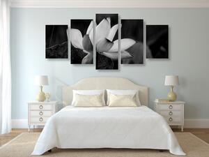 Tablou 5-piese floare delicată de lotus în design alb-negru