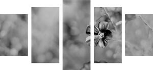 Tablou 5-piese flori în design alb-negru