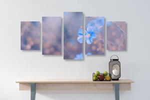 Tablou 5-piese flori albastre pe un fundal vintage