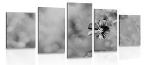 Tablou 5-piese flori în design alb-negru