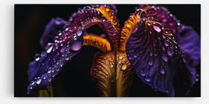 Tablou Canvas, 100x200cm, Dormitor si Living, Flori, Iris, Dark Iris After Rain