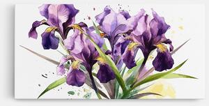 Tablou Canvas, 100x200cm, Dormitor si Living, Flori, Iris, Watercolor Purple Iris