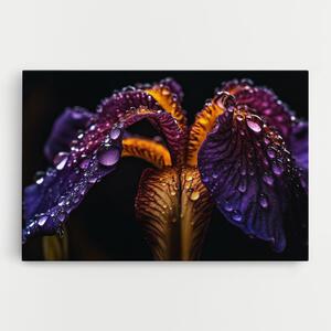 Tablou Canvas, 40x60cm, Dormitor si Living, Flori, Iris, Dark Iris After Rain