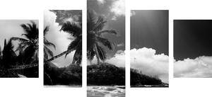 Tablou 5-piese plajă frumoasă pe insula Seychelles în design alb-negru
