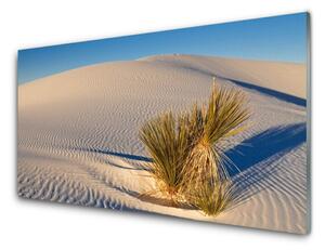 Panou sticla bucatarie Desert Peisaj Brun Verde