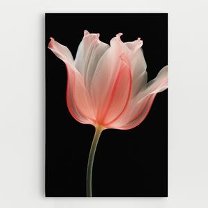 Tablou Canvas, 20x30cm, Dormitor si Living, Flori, Lalele, Pastel Pink Tulip
