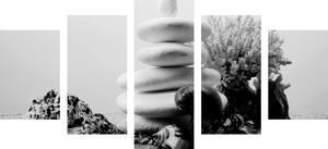 Tablou 5-piese pietrele Zen cu scoici în design alb-negru