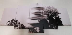 Tablou 5-piese pietrele Zen cu scoici în design alb-negru