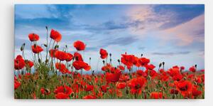 Tablou Canvas, 100x200cm, Dormitor si Living, Flori, Maci, Poppy Field