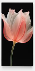 Tablou Canvas, 100x200cm, Dormitor si Living, Flori, Lalele, Pastel Pink Tulip