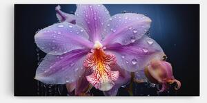 Tablou Canvas, 100x200cm, Dormitor si Living, Flori, Orhidee, Orchid In Rain