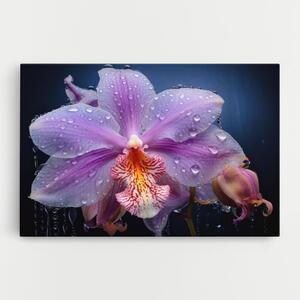 Tablou Canvas, 30x40cm, Dormitor si Living, Flori, Orhidee, Orchid In Rain