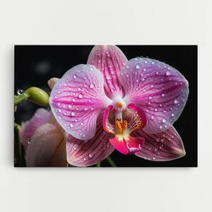 Tablou Canvas, 30x40cm, Dormitor si Living, Flori, Orhidee, Pretty Orchid After Rain