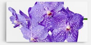 Tablou Canvas, 100x200cm, Dormitor si Living, Flori, Orhidee, Purple White Orchid