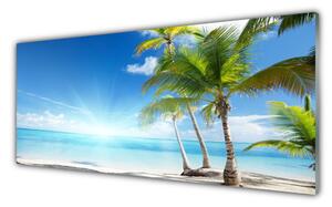 Panou sticla bucatarie Palm Sea peisaj copac Albastru Maro Verde