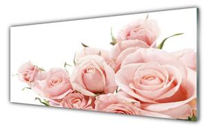 Tablou pe sticla Trandafiri Floral Bej Alb