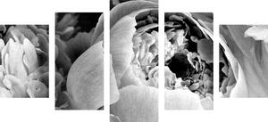 Tablou 5-piese petale de floare alb-negru