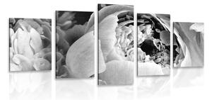 Tablou 5-piese petale de floare alb-negru