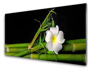 Panou sticla bucatarie Bamboo flori Floral Alb Verde