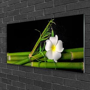 Tablou pe sticla Bamboo flori Floral Alb Verde