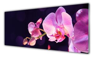 Tablou pe sticla Flori Floral Roz Violet