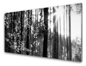 Tablou pe sticla Forest Nature Gray