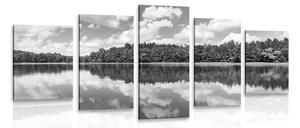 Tablou 5-piese natura în perioada de vară în design alb-negru