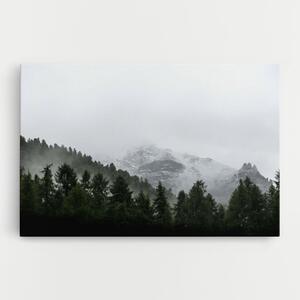 Tablou Canvas, 30x40cm, Dormitor si Living, Peisaje, Paduri, Foggy Mountain Forest